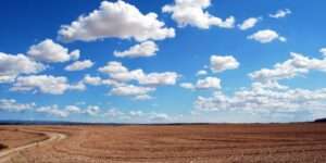 prakriti : brown field and blue sky