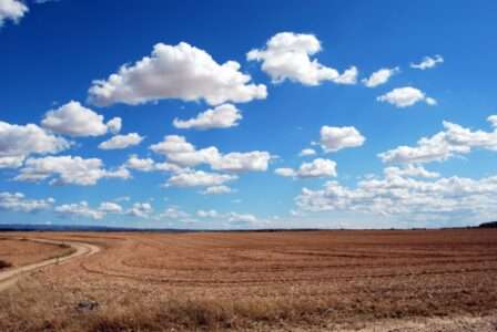 prakriti : brown field and blue sky